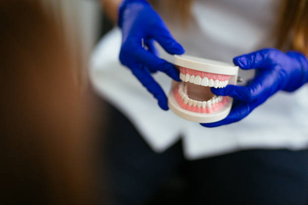 Best Pediatric Dentistry  in Westport, IN